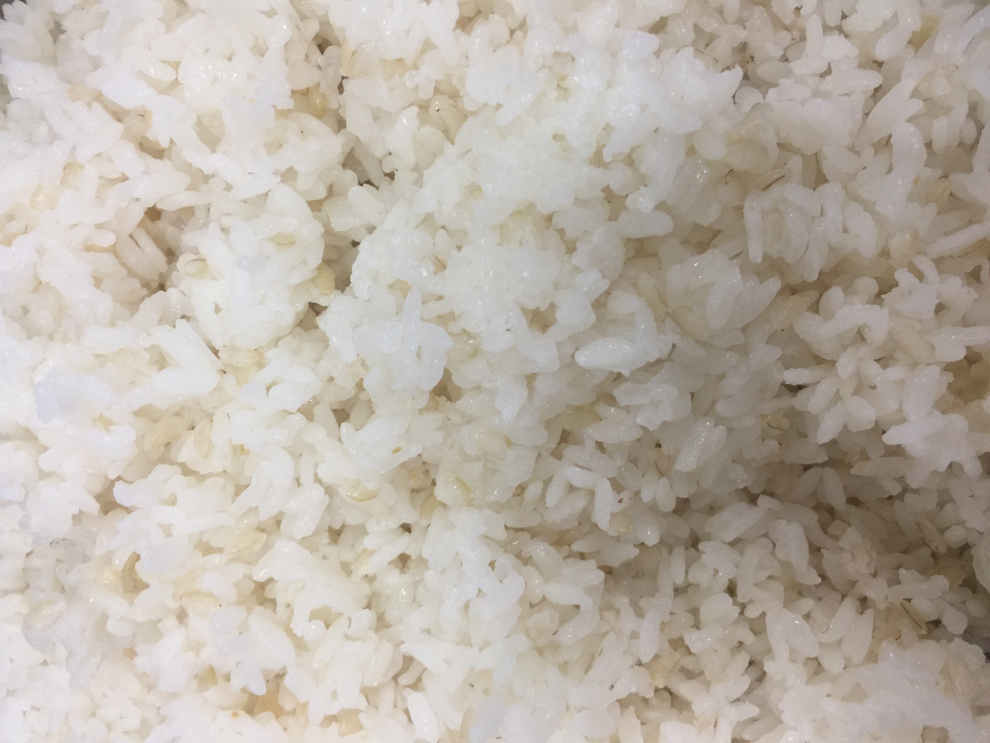 白米糙米飯