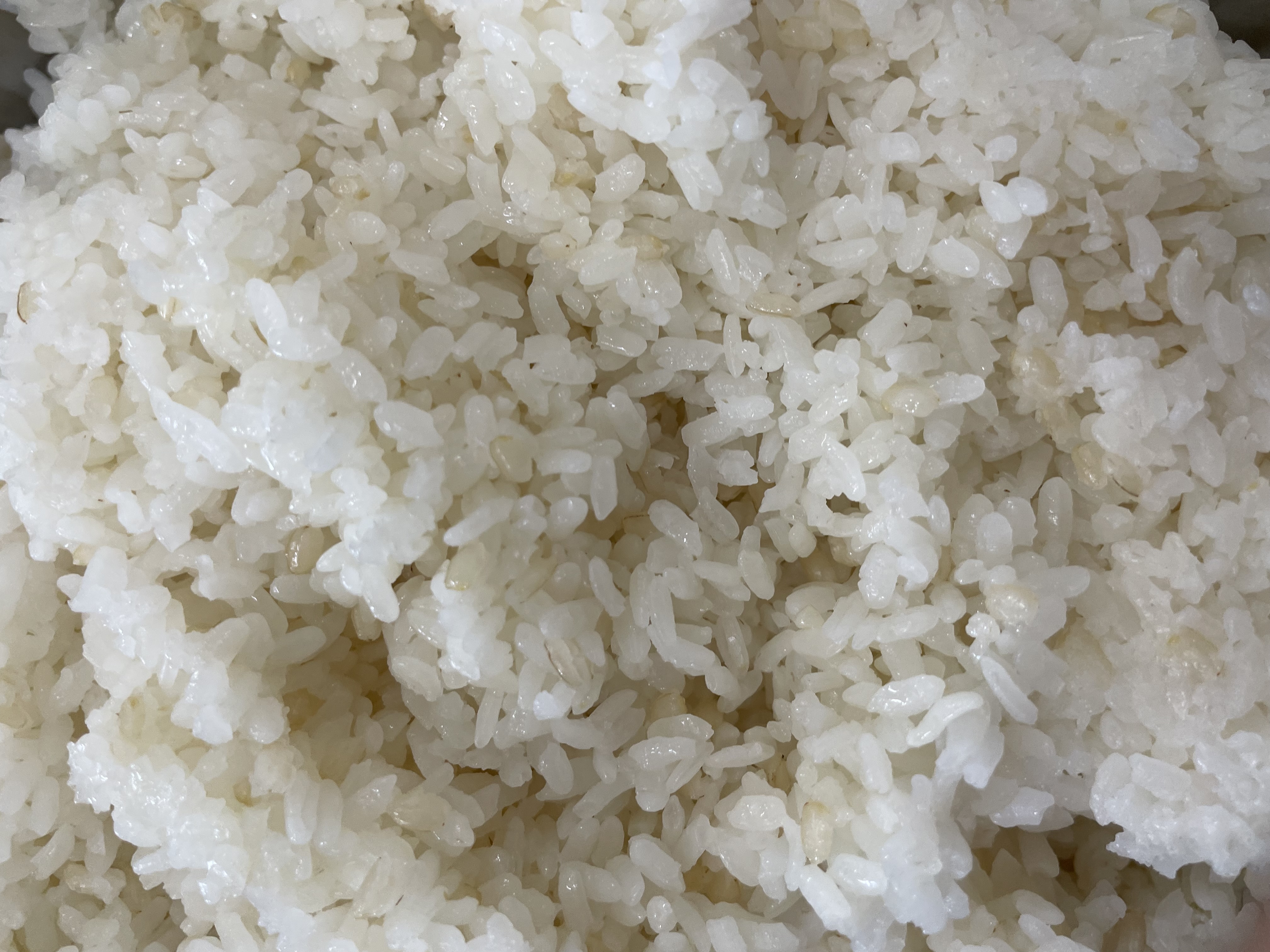 白米+糙米飯